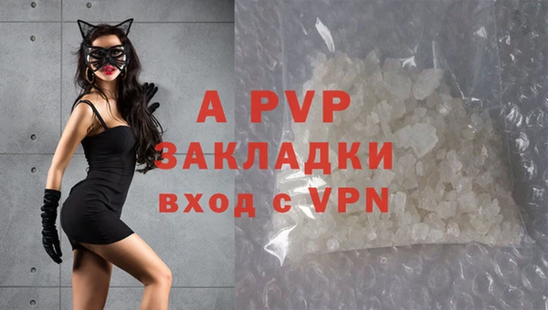 apvp Алексин