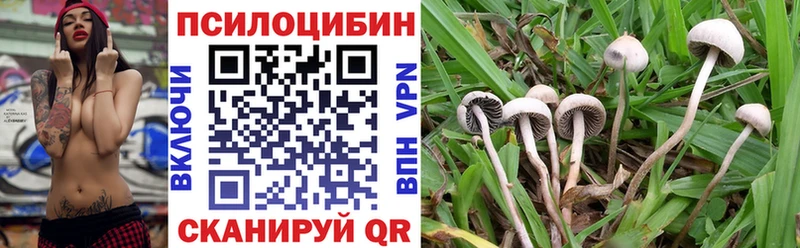 Псилоцибиновые грибы Magic Shrooms  закладки  блэк спрут зеркало  Котельники 